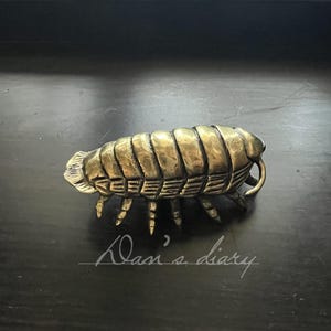 May include: A brass-colored, insect-shaped object with segmented body and multiple legs. The object has a loop on one end and is resting on a dark surface. The text "Alan's diary" is written in cursive.