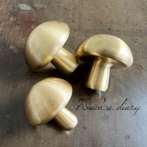 May include: Three brass mushroom-shaped cabinet knobs. The knobs have a rounded top and a cylindrical stem. The surface has a brushed finish. The text "Dan's diary" is written in cursive on the surface.