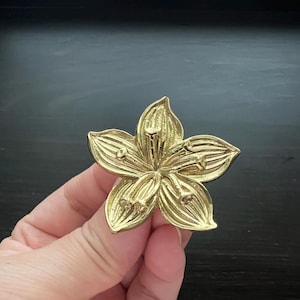 Könnte beinhalten: Eine goldfarbene Brosche aus Metall in Form einer Blume mit fünf Blütenblättern und einem detaillierten Design.