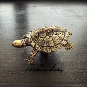 May include: A detailed brass turtle figurine with a textured shell and outstretched limbs. The turtle is a warm gold color and is set against a dark background. The words "Adam's diary" are written in cursive.