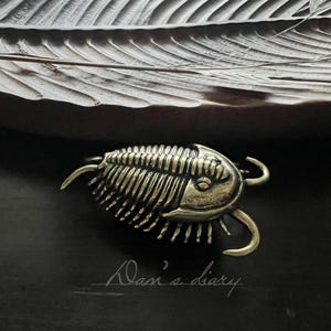 May include: A detailed, antique-style brass trilobite brooch. The fossil-like insect has intricate segmented details and curved appendages. The image also includes a carved leaf and the handwritten text "Dan's diary".