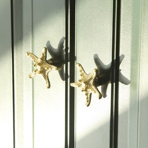 May include: Two gold starfish-shaped cabinet knobs on a light green cabinet door.