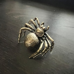 K&ouml;nnte beinhalten: Eine detaillierte Bronze-Spinnenfigur mit acht Beinen und einem strukturierten K&ouml;rper. Die Spinne ist auf einer dunklen Oberfl&auml;che platziert, die ihr kompliziertes Design zeigt. Dieses dekorative St&uuml;ck ist ideal f&uuml;r Sammler.