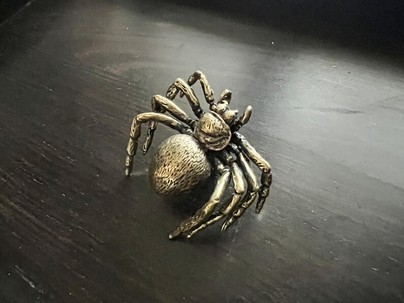 K&ouml;nnte beinhalten: Eine detaillierte Bronze-Spinnenfigur mit acht Beinen und einem strukturierten K&ouml;rper. Die Spinne ist auf einer dunklen Oberfl&auml;che platziert, die ihr kompliziertes Design zeigt. Dieses dekorative St&uuml;ck ist ideal f&uuml;r Sammler.