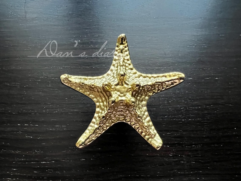 May include: A gold-coloured starfish-shaped decorative object. The starfish has a textured surface and is made of metal.