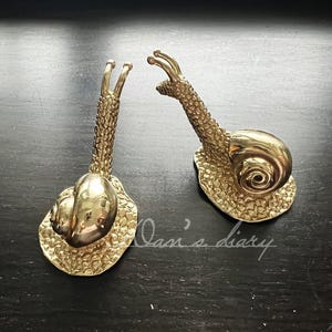 Solid Brass Snails Cabinet Knob: kitchen knob Drawer Pull