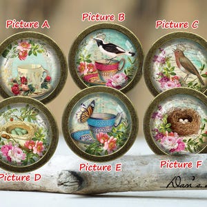 May include: Six decorative round knobs with a vintage floral design. Each knob features a different image, including birds, butterflies, teacups, and nests. The knobs are made of metal and have a gold finish.