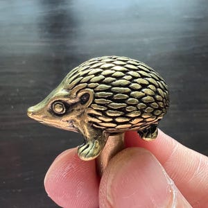 Può includere: Una dettagliata statuetta di riccio color ottone. Il riccio ha un corpo strutturato, piccoli occhi e un muso dettagliato. La statuetta è tenuta in mano, mostrando le sue dimensioni e la sua maestria. Il design generale è realistico e dettagliato.