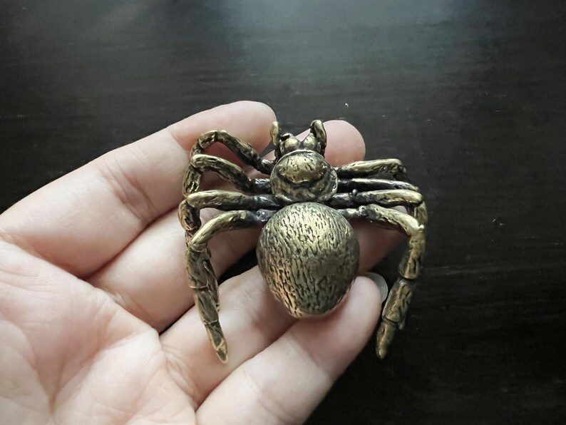 K&ouml;nnte beinhalten: Eine bronzefarbene Spinnenfigur mit detaillierten Beinen, K&ouml;rper und Kopf. Die Spinne wird in einer Hand gehalten, um ihr kompliziertes Design zu zeigen. Die Figur hat eine strukturierte Oberfl&auml;che, die ihr ein realistisches Aussehen verleiht.