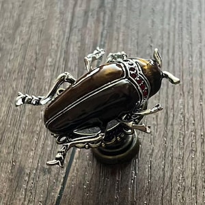 May include: A decorative bottle stopper featuring a detailed beetle design. The beetle has a brown body with silver accents and red jewel embellishments. The stopper is made of metal and is designed to fit a standard bottle.