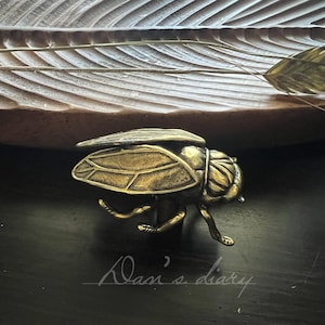 Peut inclure: Figurine de scarabée en laiton de style antique avec des détails complexes sur les ailes et le corps. L'insecte est posé sur une surface sombre, près d'une feuille de bois sculptée. L'inscription "Dan's diary" est en cursive.