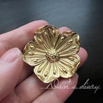 Brass Pull Knobs