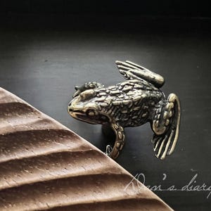 Könnte beinhalten: Eine bronzefarbene Froschfigur mit detaillierter Textur, platziert auf dunklem Untergrund. Der Frosch ist realistisch dargestellt, mit sichtbaren Beinen und einem strukturierten Körper. Ein dekoratives Objekt.