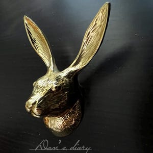 K&ouml;nnte beinhalten: Ein goldfarbener Wandhaken aus Metall in Form eines Kaninchenkopfes. Die Ohren des Kaninchens sind lang und spitz, und seine Augen sind geschlossen. Der Haken ist an einer schwarzen Wand montiert.