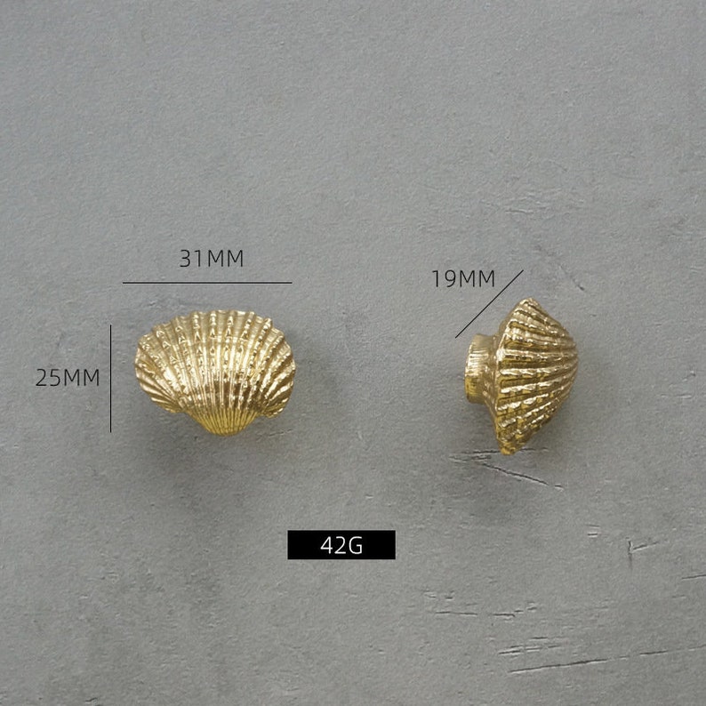 May include: Two gold-toned seashell-shaped cabinet knobs. The knob on the left measures 25 mm in height, 31 mm in width, and 19 mm in depth. The knob on the right measures 19 mm in height, 19 mm in width, and 19 mm in depth. The knobs are made of brass and weigh 42 grams each.