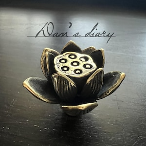 May include: A bronze lotus flower sculpture with detailed petals and seed pod. The sculpture is on a dark surface, with the handwritten text "Dan's diary" above it. The flower is a symbol of purity and enlightenment.