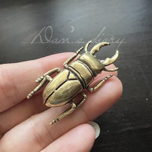 May include: A detailed brass beetle figurine with prominent mandibles and segmented body. The insect is a golden color and has intricate detailing. The text "Klan's diary" is written in cursive script.