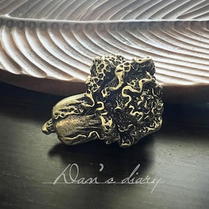 May include: A bronze lion's head sculpture with an aged, textured finish. The artwork is set against a dark background, with the cursive text "Dan's diary" visible. The sculpture has intricate details.