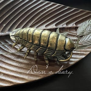 May include: A brass-colored insect sculpture with detailed segmented body and legs, resting on a carved wooden leaf-shaped tray. The tray has a textured surface. A sprig of leaves is on the right. The text "Dan's diary" is on the tray.