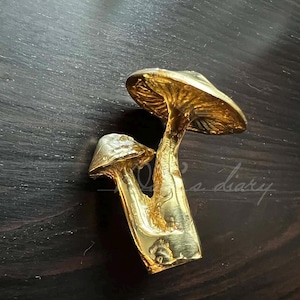 Puede incluir: Una escultura de metal dorado de dos setas. La seta más grande tiene un sombrero ancho y plano y un tallo delgado. La seta más pequeña está anidada debajo de la más grande.