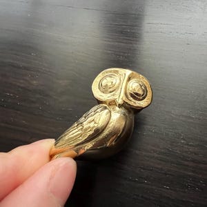 Könnte beinhalten: Eine goldfarbene Eulenfigur mit detaillierten Augen und Federn. Die Eule sitzt auf einer dunklen Oberfläche.