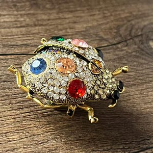 Può includere: Una spilla a forma di coccinella color oro incastonata con pietre preziose chiare e colorate. La spilla presenta un design dettagliato con un mix di gemme rotonde e ovali in vari colori, tra cui rosso, blu e rosa. Il corpo della coccinella è ricoperto di piccoli cristalli trasparenti.