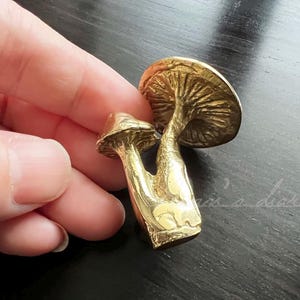 Könnte beinhalten: Zwei goldfarbene Pilzskulpturen aus Metall. Die Pilze sind mit strukturierten Kappen und Stielen verziert.