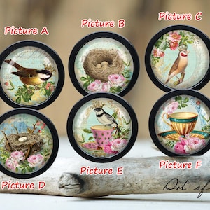 Pode incluir: Conjunto de seis ornamentos redondos de vidro emoldurados em preto com uma variedade de designs com temas da natureza. Cada ornamento apresenta um pássaro, um ninho e elementos florais em tons de azul, verde, rosa e branco.