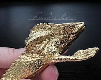 Brass Lizard Drawer Pull: Gold Cabinet Knob - CP-0477