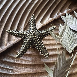Puede incluir: Una estrella de mar de color bronce con una superficie texturizada y pequeños detalles redondos. La estrella de mar se encuentra sobre un fondo de una superficie de madera tallada y plantas plumosas secas. La estrella de mar es un elemento decorativo.