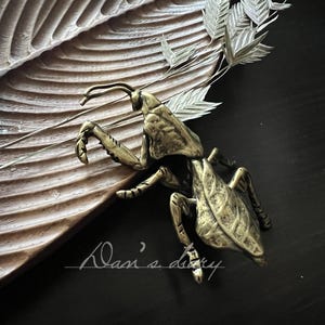 May include: A detailed, antique brass praying mantis figurine rests on a textured, wooden leaf-shaped tray. The mantis is positioned near a sprig of silver-colored leaves, with the words "Dasi's diary" in cursive script.
