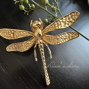 May include: A gold-colored dragonfly brooch with a textured surface. The dragonfly is detailed with intricate wings and a long, slender body.