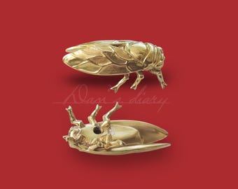 Solid Brass Cicada Drawer Knob: Nordic Cabinet Hardware