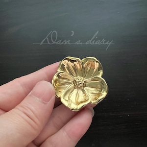 Brass Lizard Drawer Knob: Unique Cabinet Pull, Gold Decor