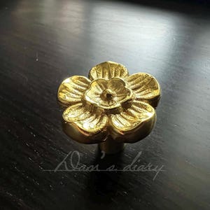 May include: A gold-toned brass flower-shaped cabinet knob with a detailed design.