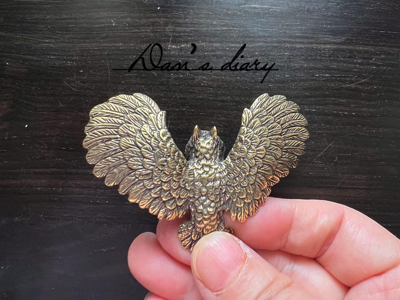 K&ouml;nnte beinhalten: Bronze-farbene Eulenfigur mit ausgebreiteten Fl&uuml;geln. Die Eule hat detaillierte Federmuster und wird in einer Hand gehalten. Der Text "Dan's diary" ist in Kursivschrift auf einer dunklen Holzoberfl&auml;che geschrieben.