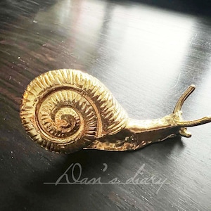 Snails Brass Knobs Nordic Style drawer pulls wardrobe Knob Cabinet Knobs Modern Drawer Knob,CP-0051