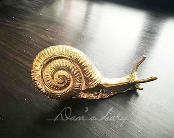 Brass Snail Knob: Nordic Style Cabinet Drawer Pull