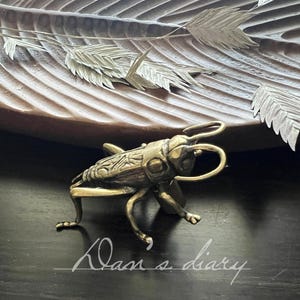 May include: A detailed brass cricket figurine with intricate detailing, positioned on a dark surface. The cricket is set against a backdrop of a wooden leaf-shaped tray with silver leaf accents. The text "Klan's diary" is visible.