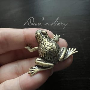 May include: A detailed bronze frog figurine with outstretched limbs. The frog has a textured body and is held in a hand. The image includes the handwritten text "Dan's diary" in the background.