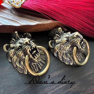 Puede incluir: Dos aldabas antiguas de latón con forma de cabeza de león con un anillo en la boca. Las cabezas de león están detalladas con bocas abiertas y melenas texturizadas. El fondo es oscuro con una borla roja y el texto "Dan's diary".