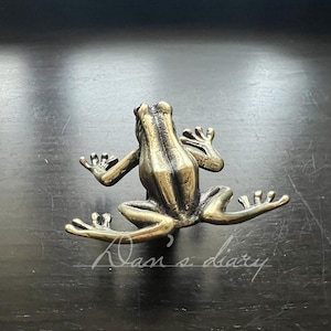 May include: A bronze frog figurine with outstretched limbs, detailed with textured skin. The frog is positioned on a dark surface, showcasing its antique finish. The figurine is a decorative item.