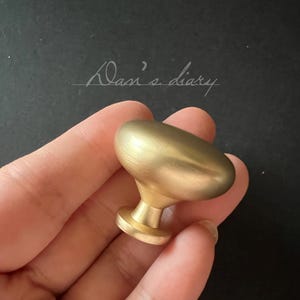 May include: A gold-toned cabinet knob with a rounded oval shape. The knob is held in a hand.