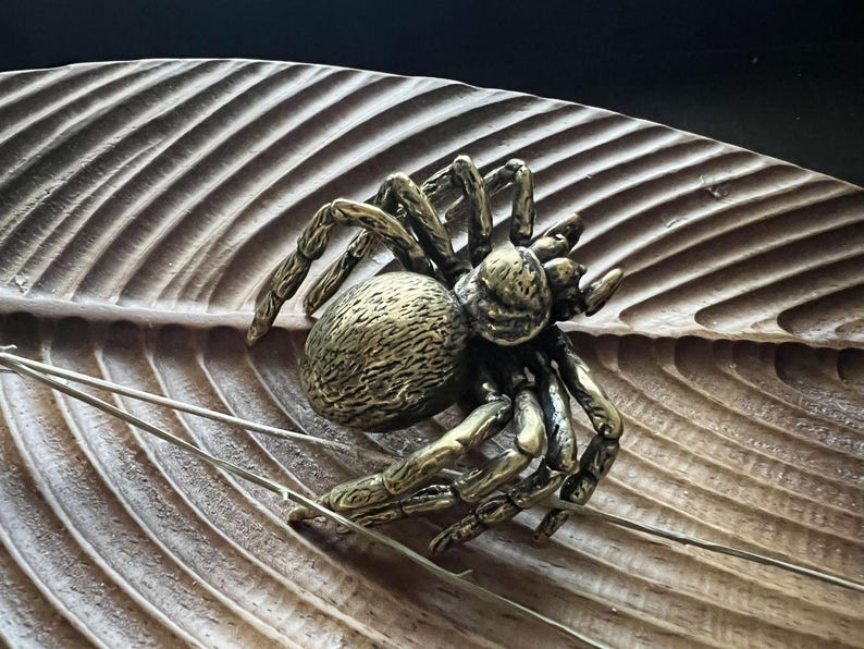 K&ouml;nnte beinhalten: Eine detaillierte Bronzespinne mit komplizierten Beinen und K&ouml;rperdetails liegt auf einem geschnitzten Holzblatt. Die Spinne hat eine dunkelgoldene Farbe, das Blatt ist hellbraun.