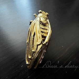 Brass Cicada Knob: Gold Cabinet Pull, Animal Decor Handle