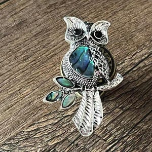Può includere: Spilla a forma di gufo argentato con dettagli iridescenti in conchiglia di abalone. Il gufo presenta dettagli di piume e occhi. La spilla è posta su uno sfondo di legno, mettendo in risalto la sua intricata lavorazione e la tavolozza di colori naturali.