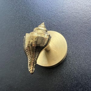 Brass Conch Wall Hook: Nordic Coat/Towel Hanger
