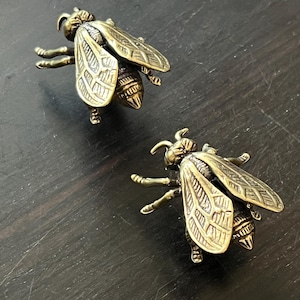 May include: Two brass-colored bee-shaped decorative objects. The bees have detailed wings, antennae, and legs. The objects are positioned on a dark, textured surface, suggesting a decorative or artistic theme.