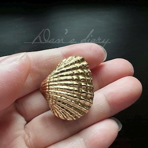 May include: A gold-coloured seashell pendant with a detailed textured surface.