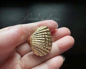 Brass Shell Shape Knobs: Dresser Pull, Nursery Room knob